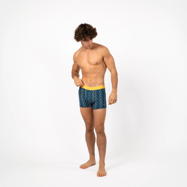 boxer aloa