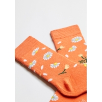 BeDaisy naranja
