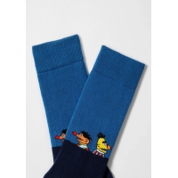 BeSesame Street Friends