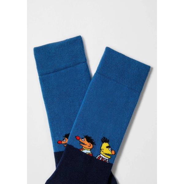BeSesame Street Friends