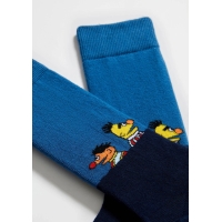 BeSesame Street Friends