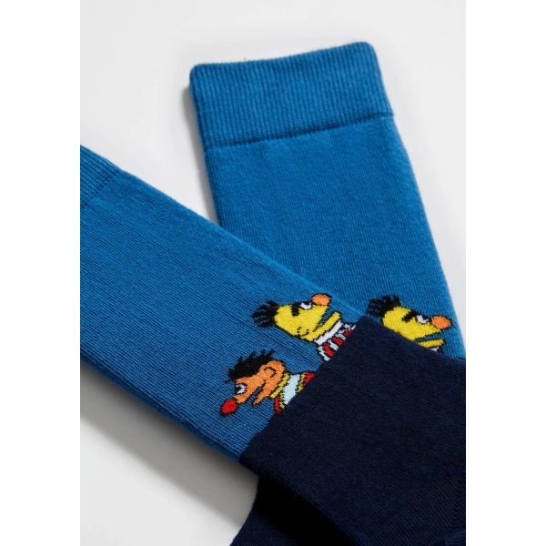BeSesame Street Friends