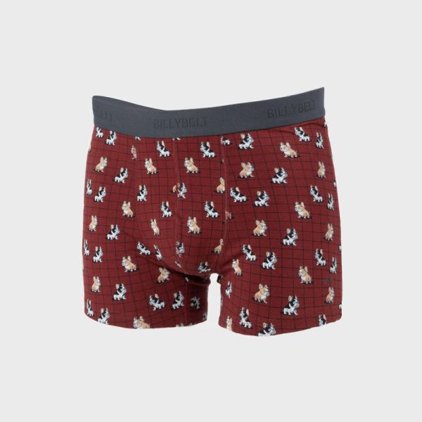 boxer marcel