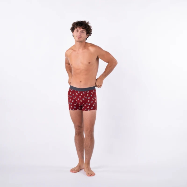 boxer marcel