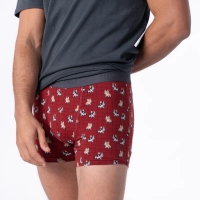 boxer marcel