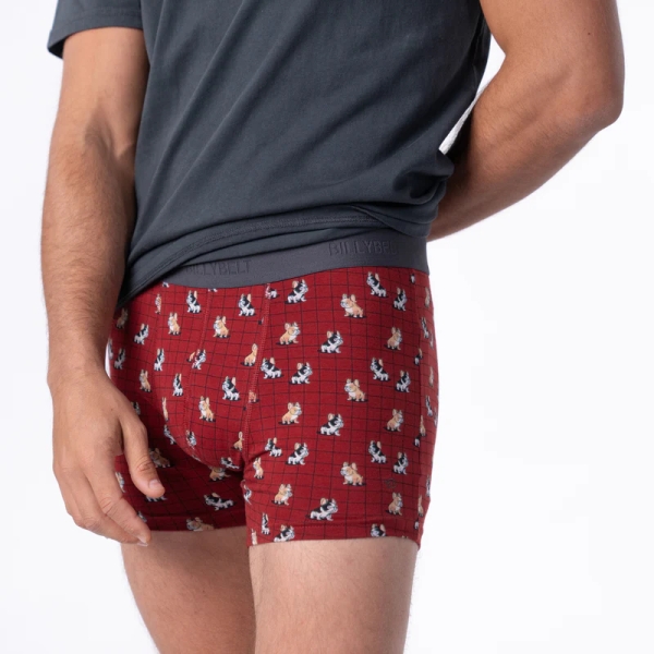 boxer marcel