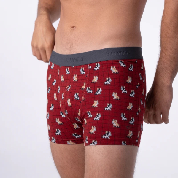 boxer marcel