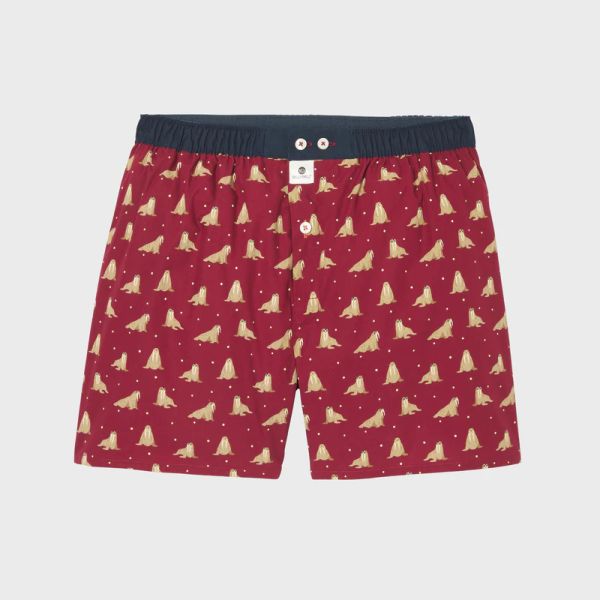 boxer short walrus
