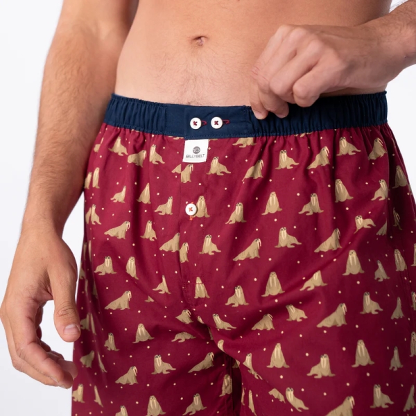 boxer short walrus