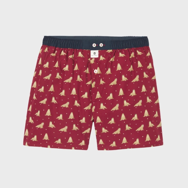 boxer short walrus