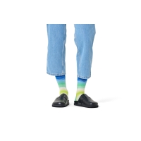 gradient stripe socks