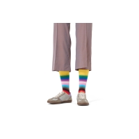 pride stripe socks
