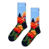 autumn socks