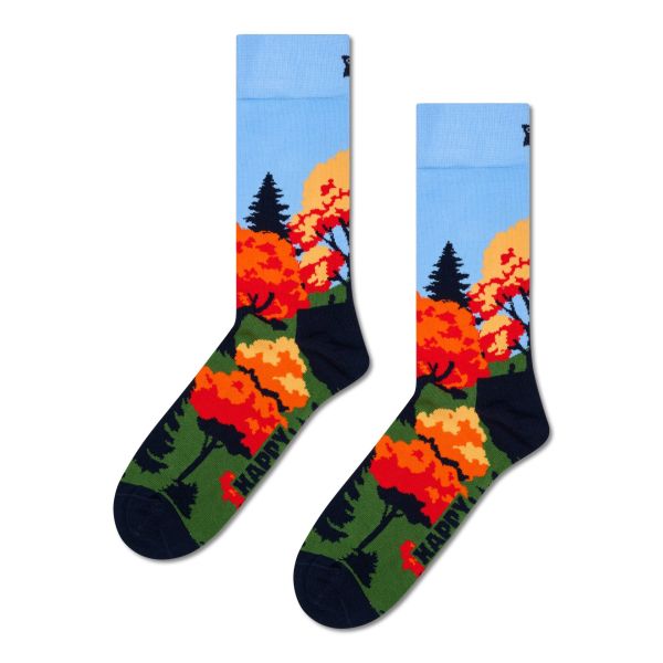 autumn socks