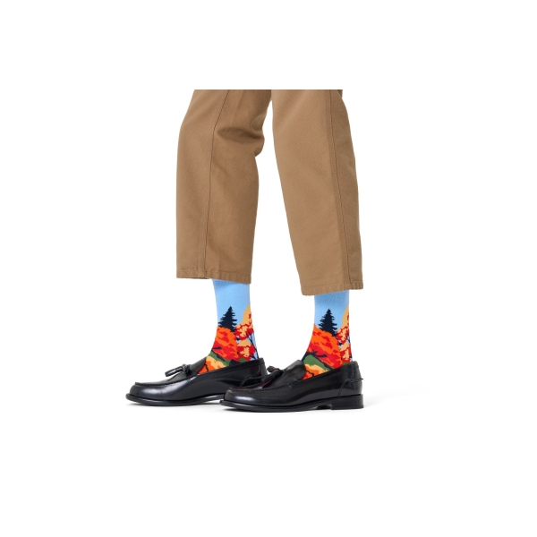 autumn socks