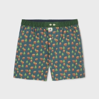 boxer short brown bear