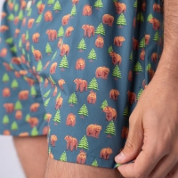 boxer short brown bear