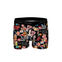 boxer pop art