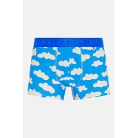 boxer cloudy