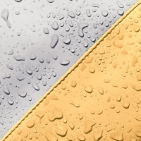 Jona Lotus Infinity Glacier Grey - Lemon