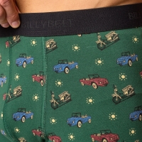 boxer roadtrip