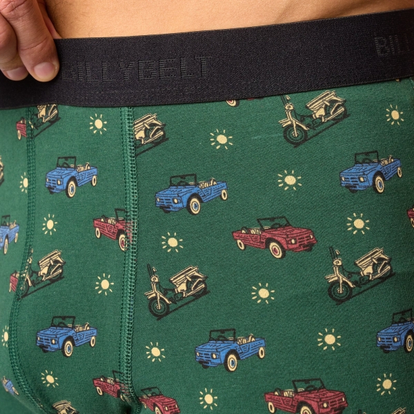 boxer roadtrip