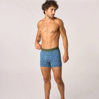 boxer cassette