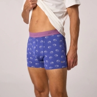 boxer billycool