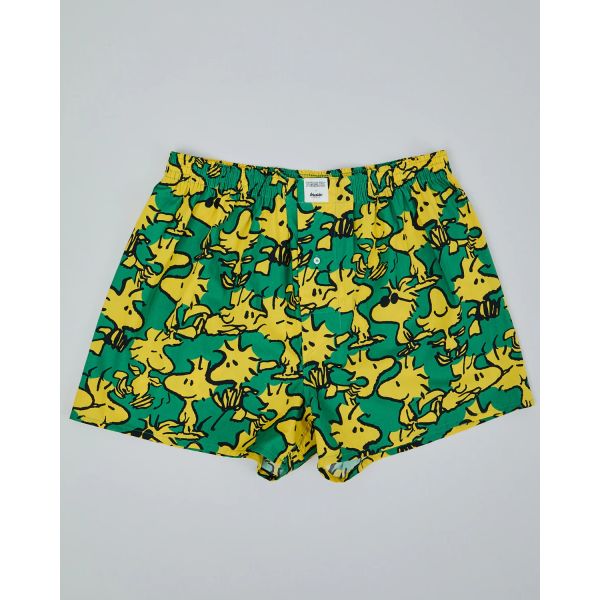 boxer peanuts woodstock green