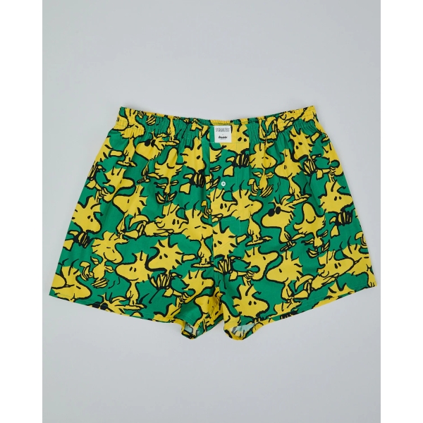 boxer peanuts woodstock green