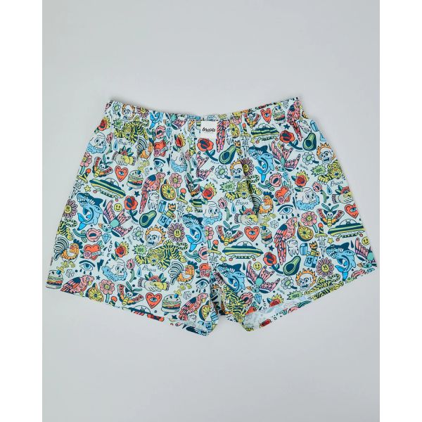 boxer this is asis