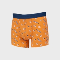 boxer seagull