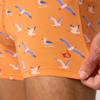 boxer seagull