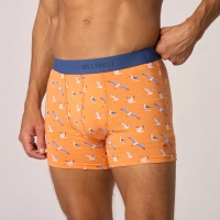 boxer seagull