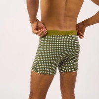 boxer oxford