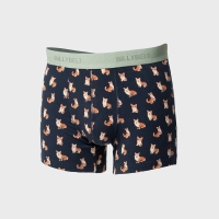 boxer corgi