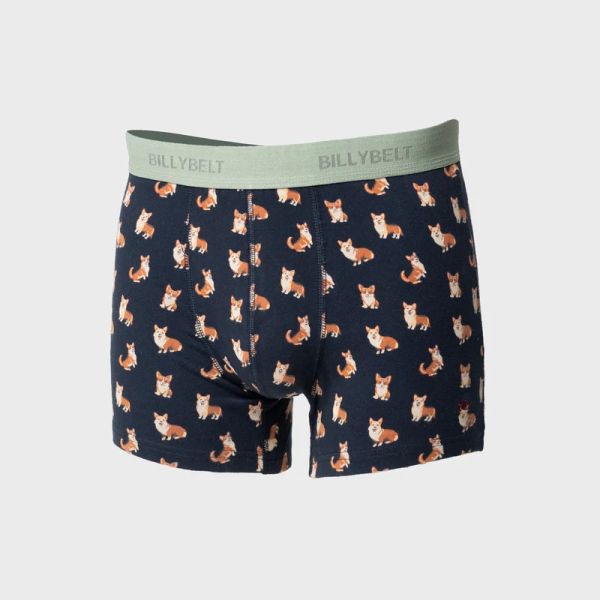 boxer corgi