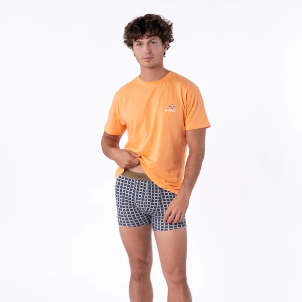 boxer retro