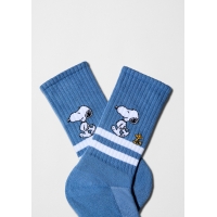 BeSnoopy stripes street azul